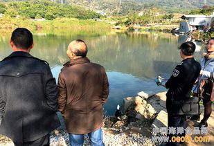 廈門集美雙嶺村養殖場迎節前“安全體檢”，筑牢水產品安全防線